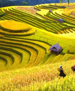 du-lich-sa-pa-kinh-nghiem-va-thong-tin-huu-ich