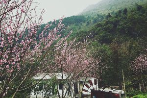 TOUR SAPA 3 NGÀY 2 ĐÊM