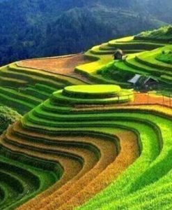 Tour Du Lịch Sapa 2 Ngày 1 Đêm Ngủ Bản