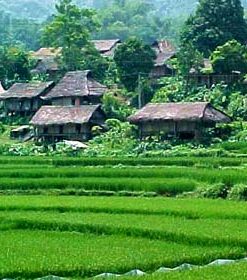 Tour Mai Châu 1 Ngày Từ Hà Nội