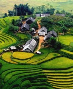 Tour Du Lịch Mù Cang Chải Mùa Lúa Chín 3 Ngày 2 Đêm