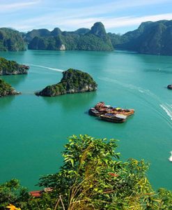 Tour Hạ Long 1 Ngày Du Thuyền 5 Sao Sea Lion Luxury Cruise