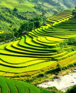Tour Du Lịch SaPa 3 Ngày 2 Đêm | Cát Cát – Hàm Rồng – Thác Bạc – Thác Tình Yêu