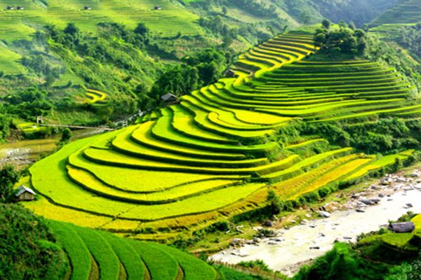 TOUR DU LỊCH SAPA