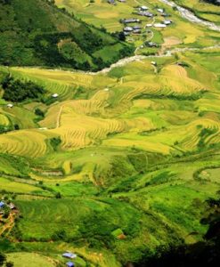  Tour Mù Cang Chải 2 ngày 1 đêm