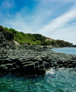 Tour Du Lịch Phú Yên Gềnh Đá Đĩa 1 Ngày